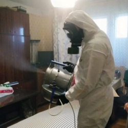 Дезинфекция от клопов в Прокопьевске