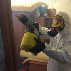 Уничтожение клопов в квартире. Прокопьевск